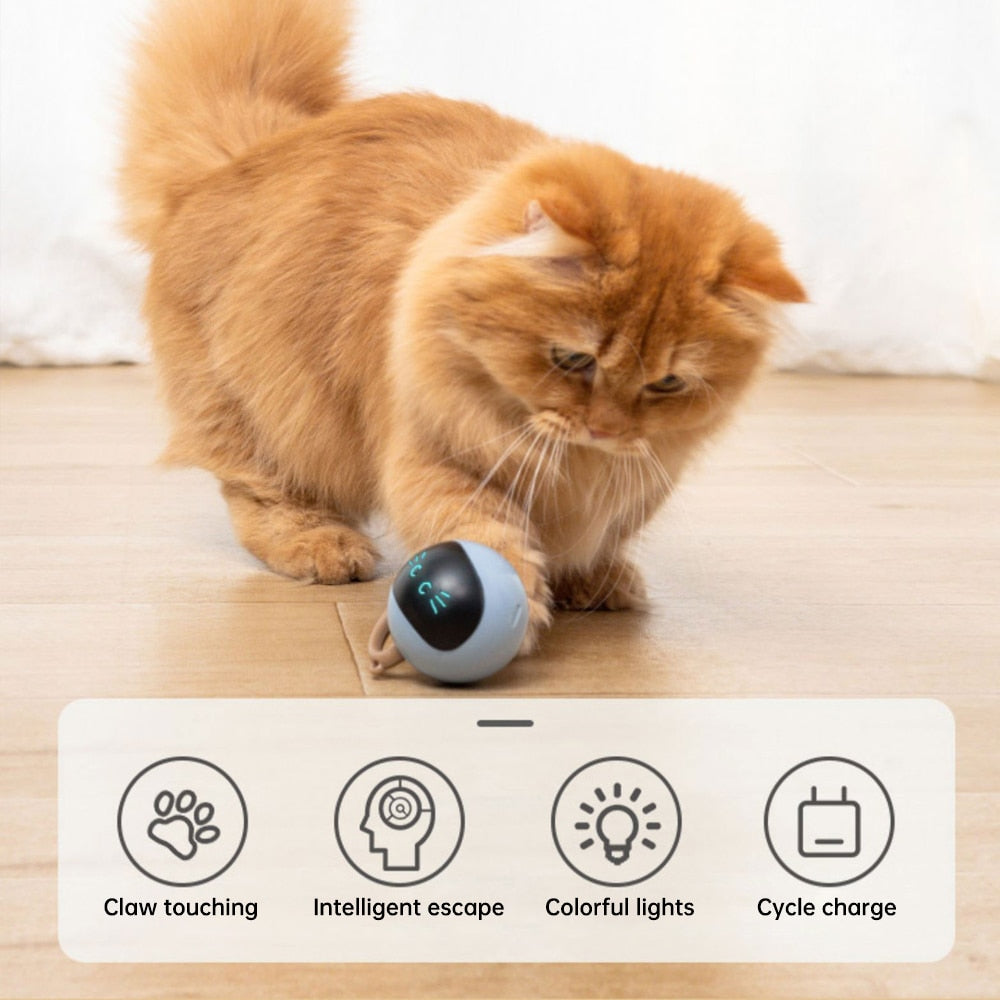 Automatic Cat Ball Toy