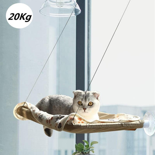 Cat Window Harness